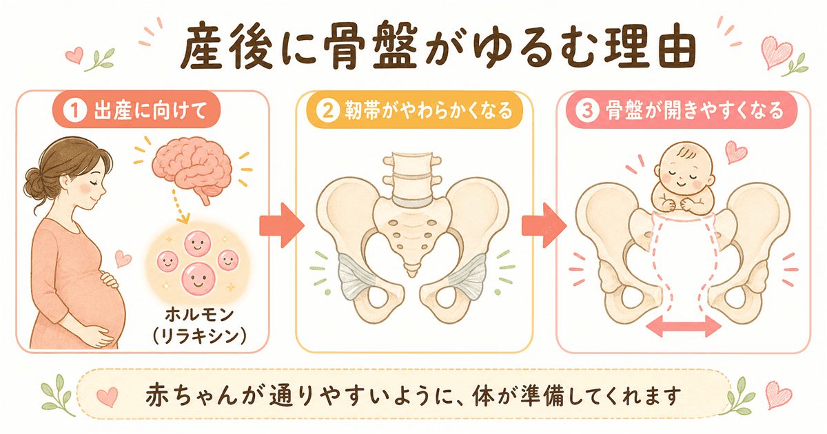 産後に骨盤が緩む理由の図解