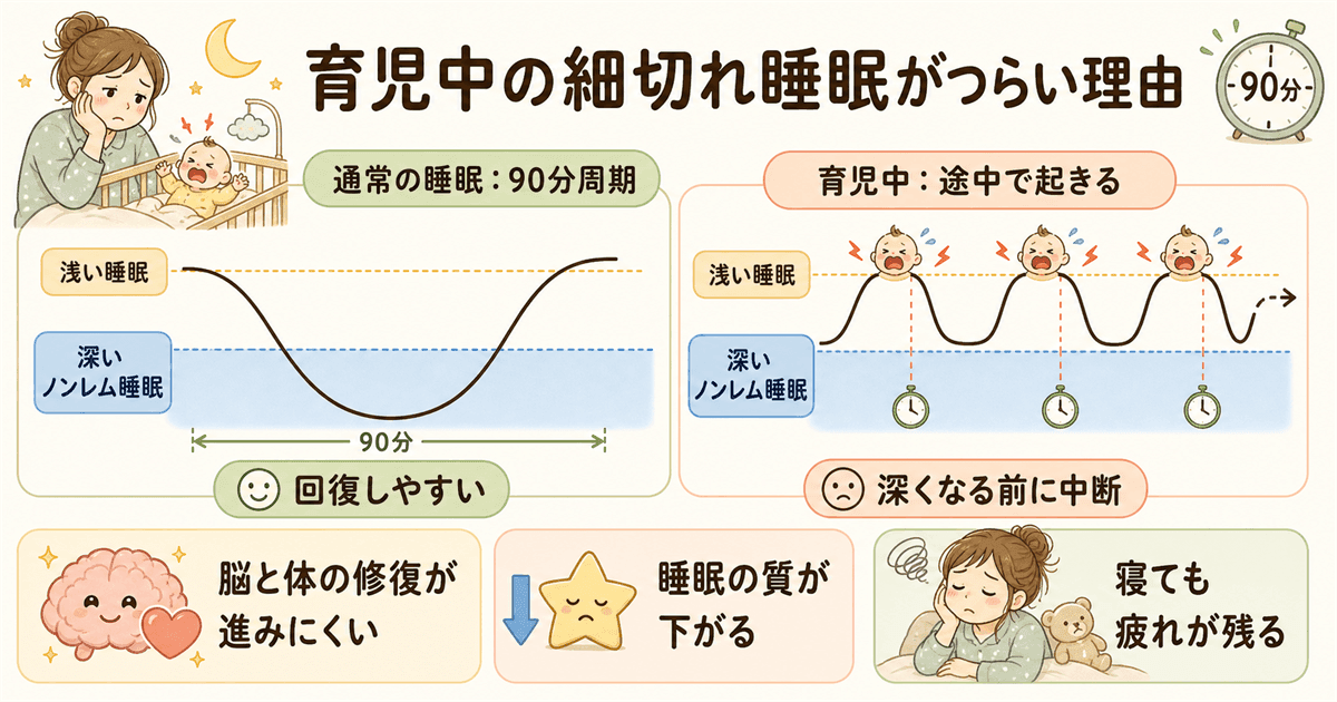 育児中の細切れ睡眠が特に問題な理由：深い眠りの分断と入眠直後90分の重要性