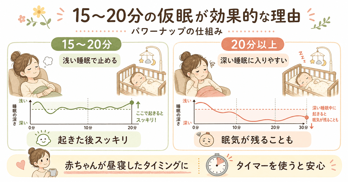 15〜20分の仮眠（パワーナップ）が効果的な理由と仕組み