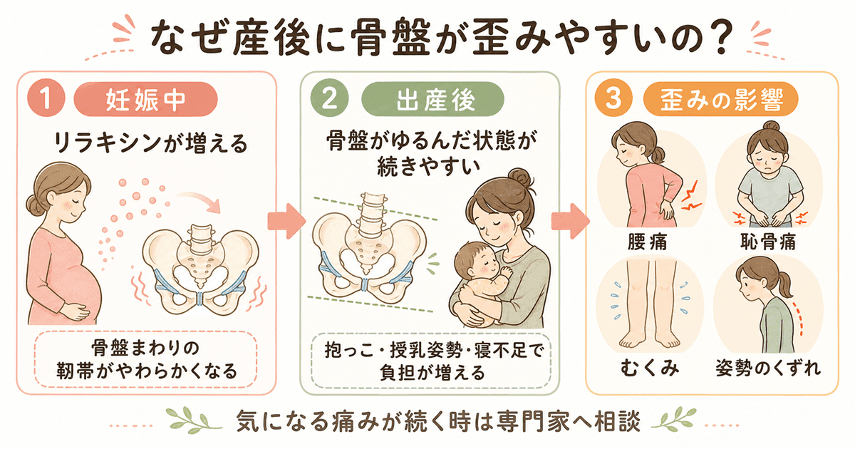 なぜ産後に骨盤が歪みやすいのか：リラキシンと骨盤の変化