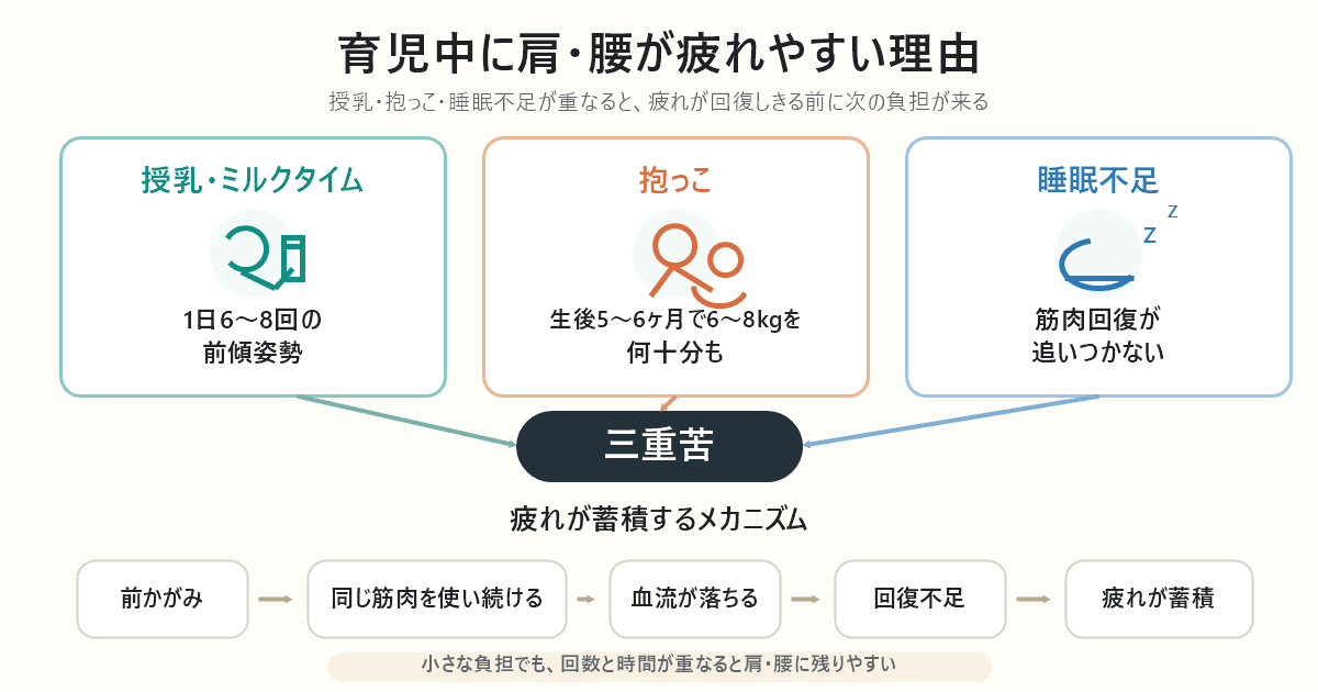 なぜ育児中は肩・腰が疲れやすいのか：姿勢の繰り返しと筋肉への負荷