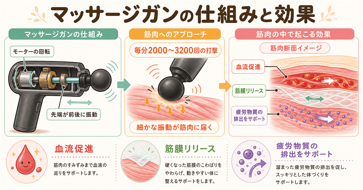 マッサージガンの仕組みと効果：振動・血流促進・疲労回復のメカニズム