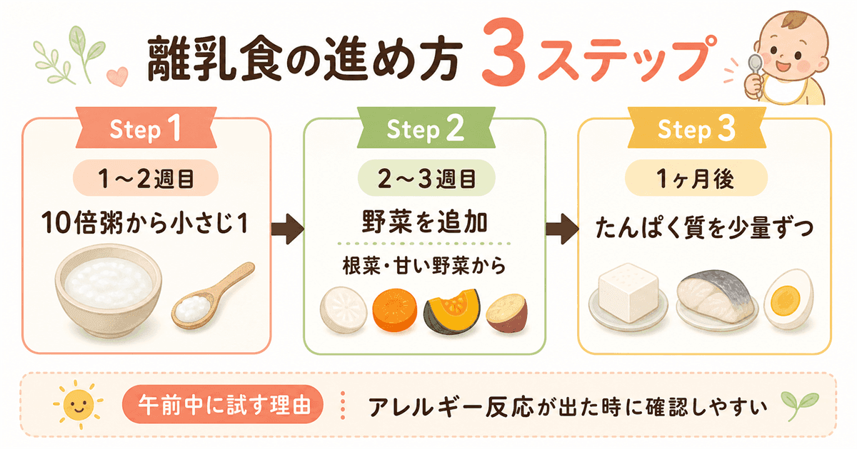 離乳食の進め方基本ステップ：10倍粥から野菜・たんぱく質へ