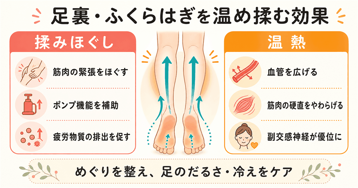足裏・ふくらはぎを温め揉む効果:揉みほぐし+温熱の相乗効果