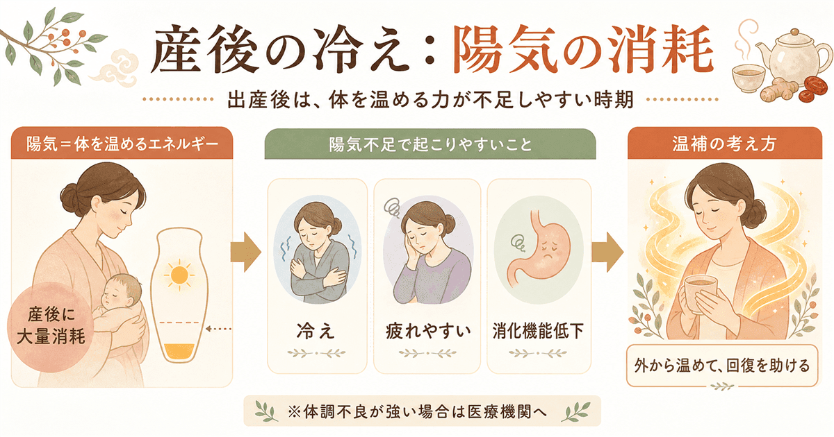 電気毛布の選び方：育児中の冷え対策に重要な5ポイント