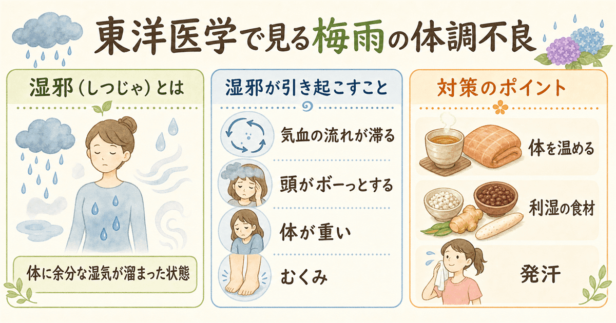 東洋医学で見る梅雨の体調不良：湿邪