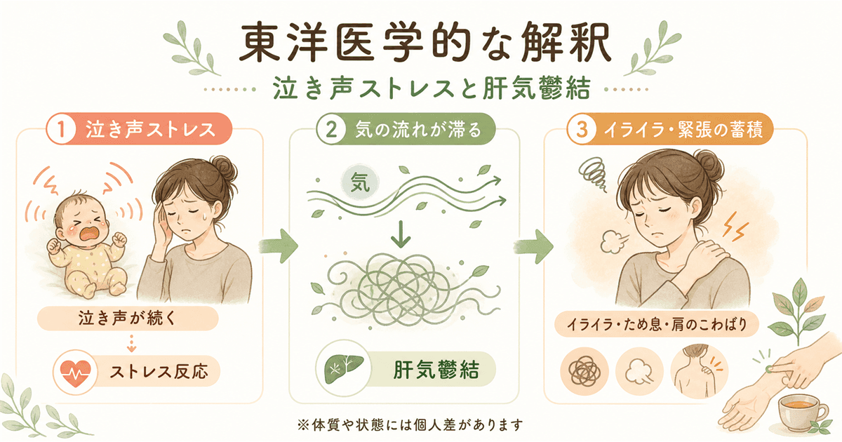 東洋医学的な解釈：泣き声ストレスと肝気鬱結