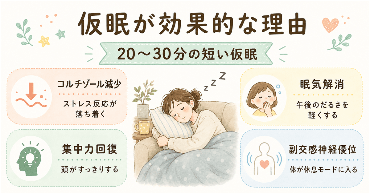 仮眠が効果的な理由
