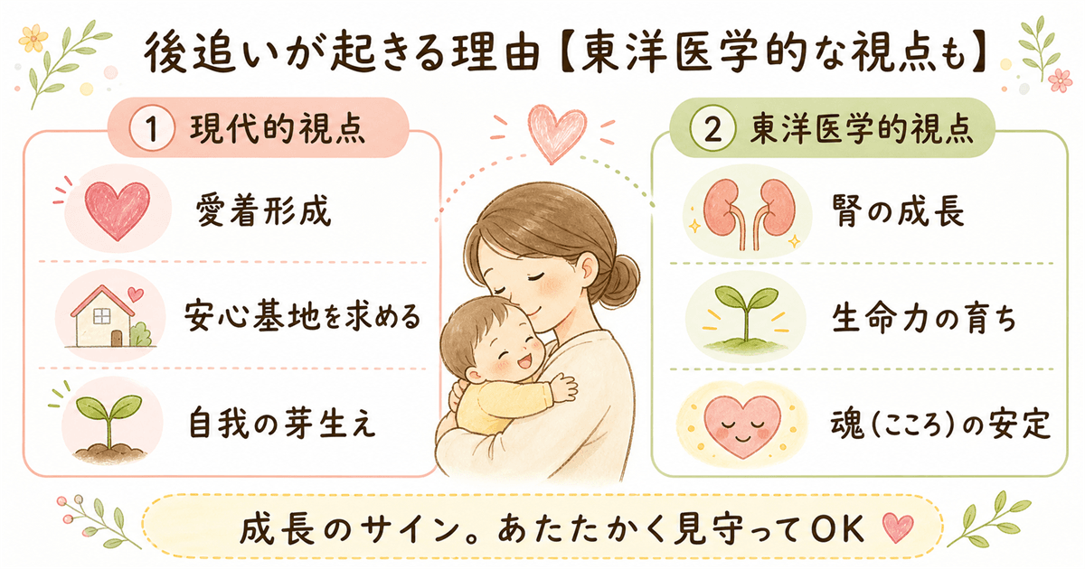 後追いが起きる理由【東洋医学的な視点も】