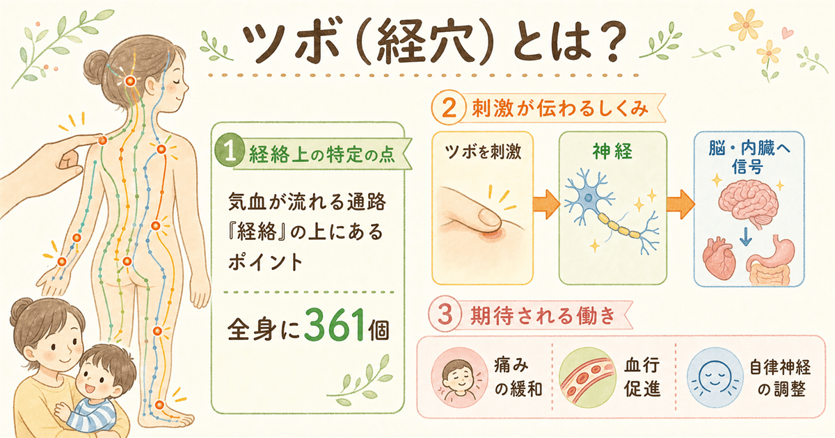 ツボ（経穴）とは何か