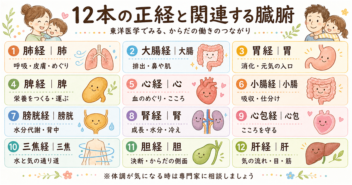 12本の正経と関連する臓腑