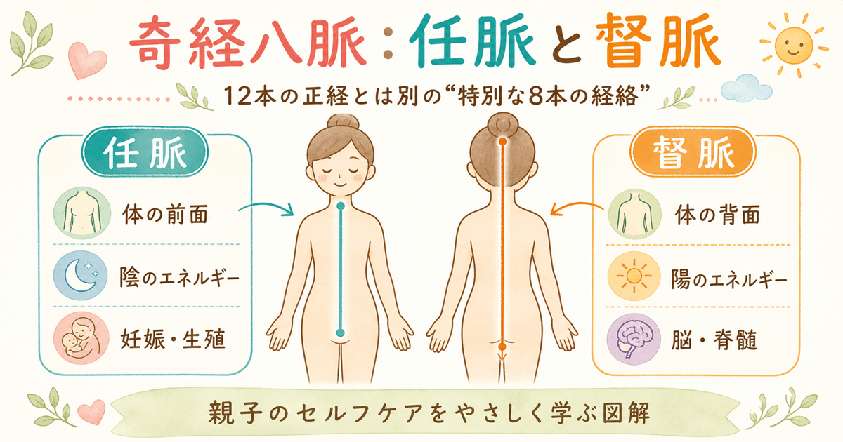 奇経八脈・任脈と督脈の図解