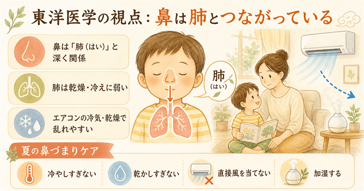 東洋医学の視点・鼻は肺とつながる