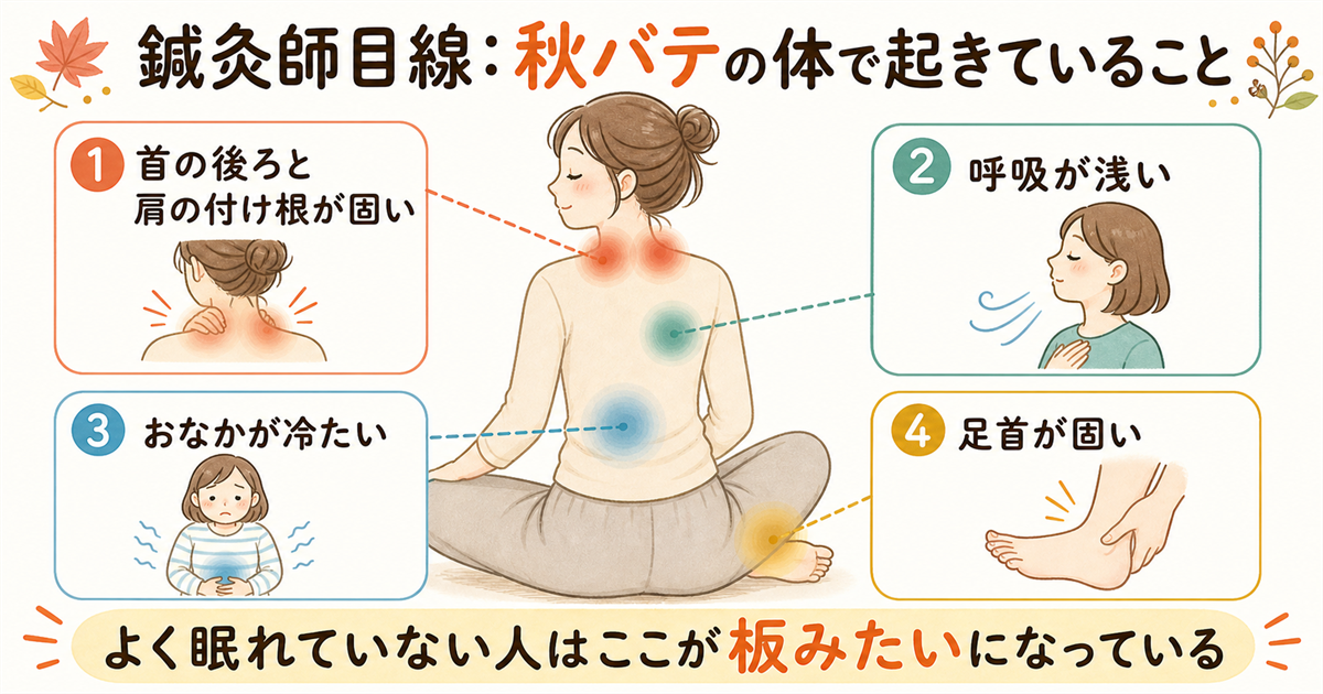 鍼灸師目線：秋バテの体で起きていること