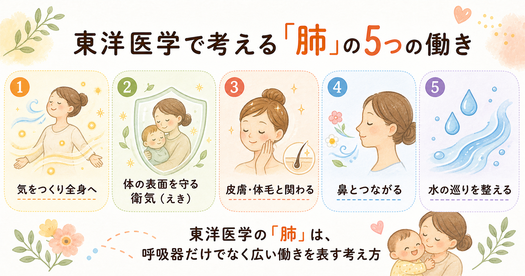東洋医学で考える肺の5つの働きの図解
