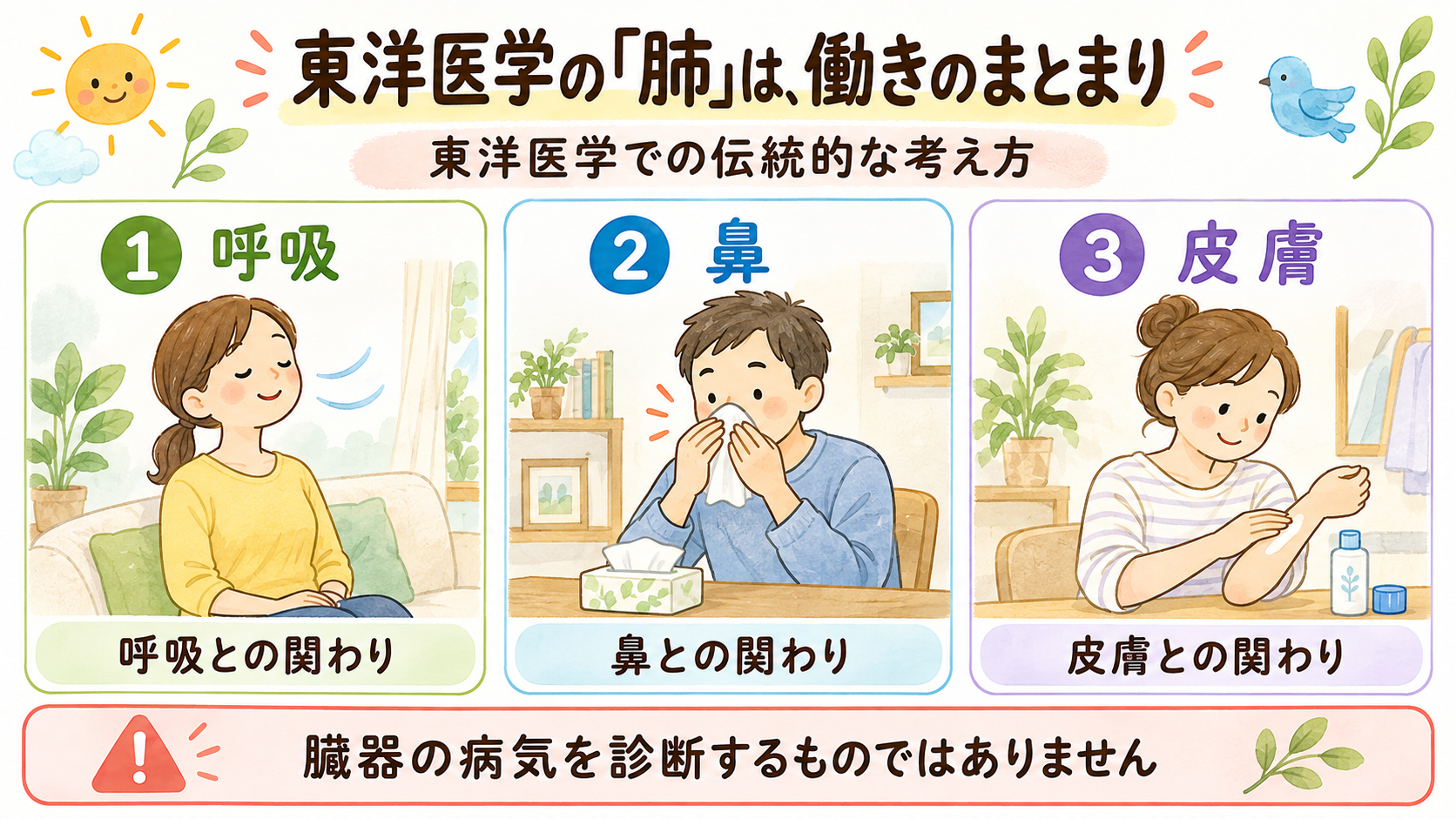 東洋医学の伝統的な肺の考え方を呼吸・鼻・皮膚の生活場面で説明する図解